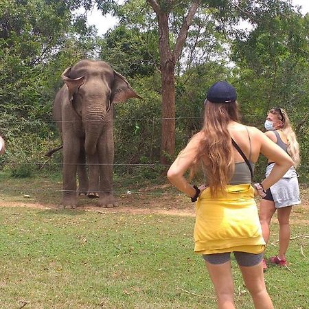 Nature Lovers Safari & Villa Udawalawe Bagian luar foto