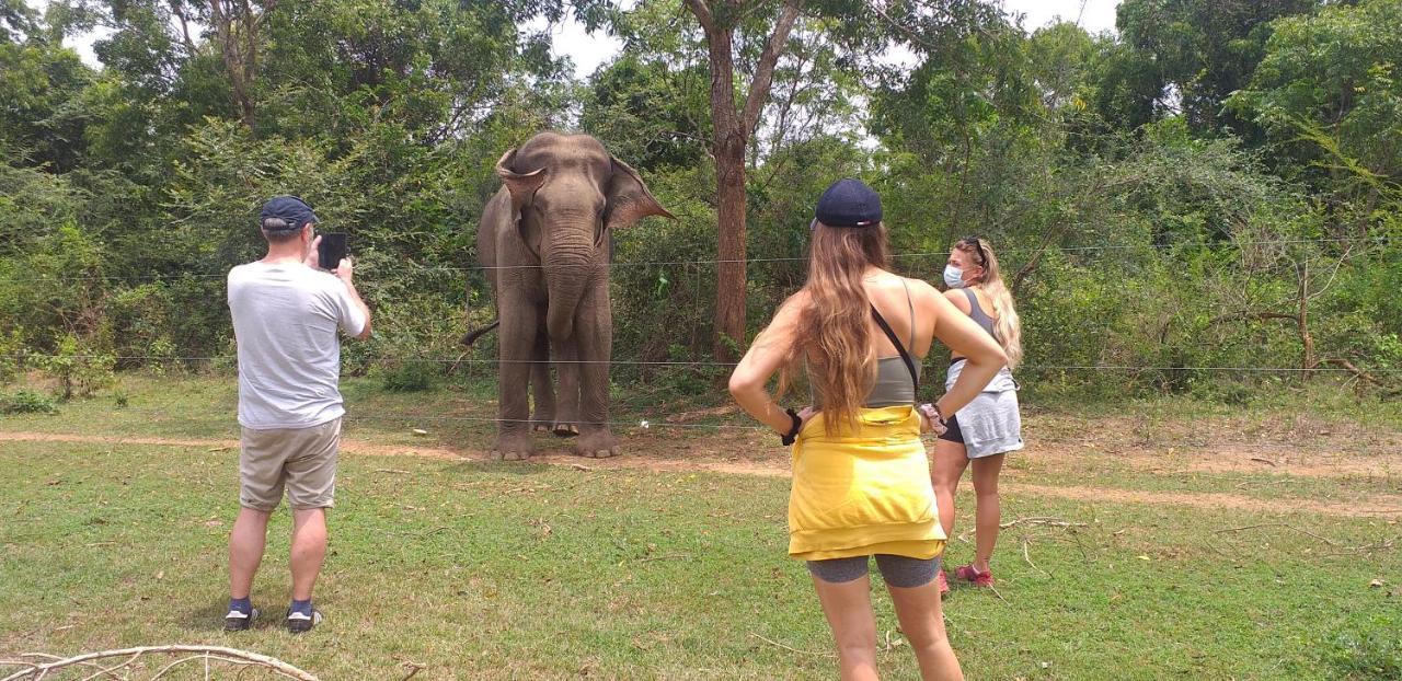 Nature Lovers Safari Cottage Udawalawe Bagian luar foto