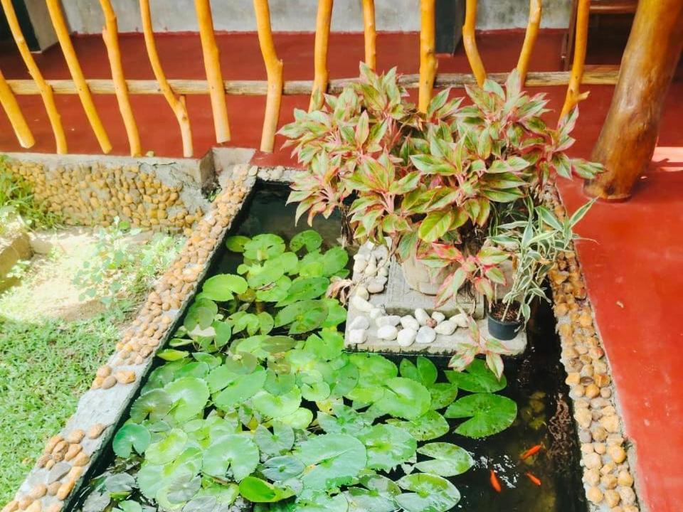 Nature Lovers Safari & Villa Udawalawe Bagian luar foto