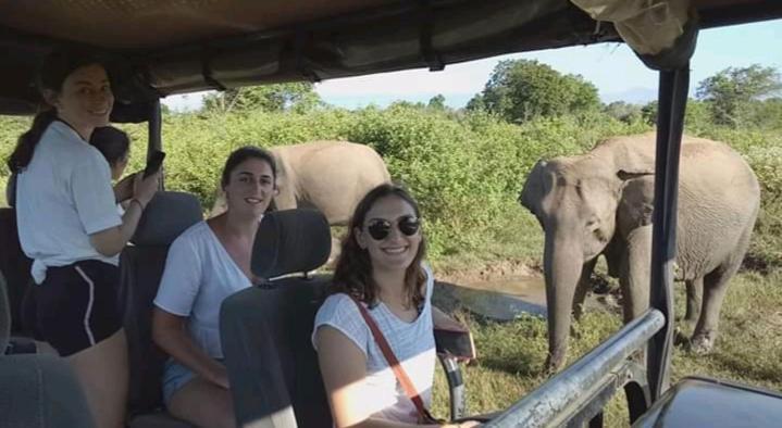 Nature Lovers Safari & Villa Udawalawe Bagian luar foto
